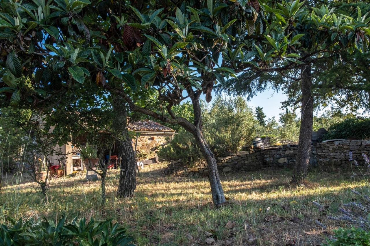 Podere Pruneto Radda in Chianti Exterior photo